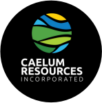 CAE